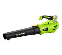 Souffleur de feuilles sans fil - Fieldmann - FZF 70605-0