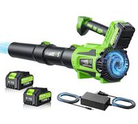 Souffleur de feuilles sans fil - Moteur sans balais de 650 CFM avec contrôle à 6 vitesses et poignée ergonomique - Comprend 2 batteries de 5,0 Ah et un chargeur rapide - Souffleurs pour l'entretien de