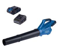 Souffleur de feuilles Scheppach C-BL700-X set S