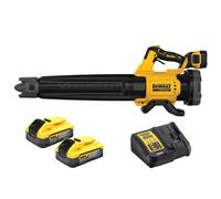 Souffleur de feuilles XR 18V (2x5,0 Ah Powerstack) - DEWALT DCMBL562H2