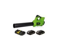 Souffleur de jardin 40V + 2 Batteries lithium 2AH + Chargeur DOUBLE
