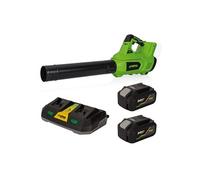 Souffleur de jardin 40V - 2 Batteries lithium 4AH + Chargeur DOUBLE
