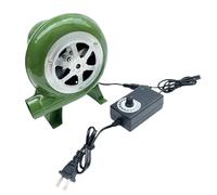 Souffleur électrique de barbecue, souffleur à pompe à air centrifuge stable de 12 V, petit souffleur en fer forgé de forgeron, souffleur électrique à double usage AC et DC, souffleur Blacksmith Forge