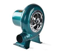 Souffleur électrique - Solution de flux d'air à vitesse variable pour barbecue, forge à charbon et cheminée