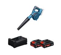 Souffleur GBL 18V-120 + 2 Batteries EXPERT 4 Ah + 1 Chargeur GAL 12V/18V-80 BOSCH