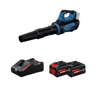 Souffleur GBL 18V-800 + 2 Batteries EXPERT 8 Ah + 1 Chargeur EXAL18V-160 BOSCH