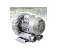 Souffleur Régénératif 120 W 180 W 250 W 370 W 550 W 750 W 1100 W, Turbine Monophasée, 110 V/220 V, Souffleur À Anneau Vortex Haute Pression, Pompe À Vide Industrielle 50 Hz(550W/0.74HP)