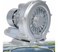 Souffleur régénératif 120W-1500W 220V/380V monophasé/triphasé, souffleur à Anneau Vortex Haute Pression, Pompe à Vide Industrielle pour Le soufflage ou l'aspiration d'air(750W/110V)