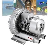 Souffleur Régénératif Monophasé 120 W-1500 W, Pompe À Vide Industrielle Haute Pression, Ventilateur Soufflant Commercial for Soufflage Ou Aspiration d'air(750W/1.04HP)