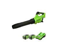 Greenworks GD40ABK2X Souffleur à Batterie Axial de Feuilles Sans Fil avec Régulateur de Vitesse, Moteur Sans Balais, 210km/h, 15,6 m³/min, Fonction Turbo, SANS Batterie Ni Chargeur 40V, Garantie 3 Ans