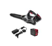 Souffleur sur Batterie 40V livrée avec Batterie 4Ah et Chargeur