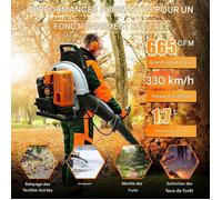 Souffleur thermique 2-temps - Fianao - 2 800 tr/min - réservoir 1,7 L - 6 800 tr/minFeuilles, neige, rien ne lui résiste