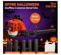 Souffleur thermique à Dos Professionnel 52 cm³ à Essence - Modèle EB430 (Aspirateur-Souffleur de Feuilles)