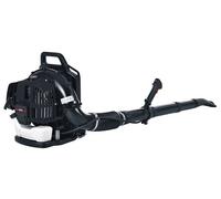 Souffleur thermique RAC52BPB-2 - 52Cc