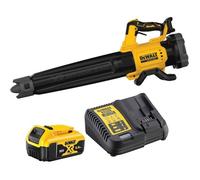 Souffleur DeWalt DCMBL562P1