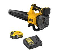 Souffleur DeWalt DCMBL562P1