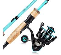 Sougayilang Canne à pêche et Moulinet en Acier Inoxydable avec Moulinet pour Eau salée et Eau Douce - Turquoise - 1,8 m et 3000