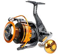 Sougayilang Cannes à pêche - 12+1 BB avec moulinets légers et lisses, traînée puissante en fibre de carbone pour pêche au sel et en eau douce, TT2000