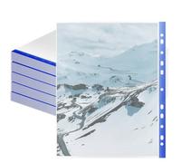 SOUJAP Lot de 300 pochettes perforées A4 en plastique transparent avec bord bleu pour classeurs à anneaux, documents de classement, 23,5 x 30 cm