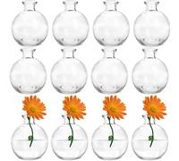 SOUJOY Lot de 12 Petits vases à Fleurs en Verre Transparent pour décoration d'intérieur, Mariages, Arrangements Floraux, événements, fêtes