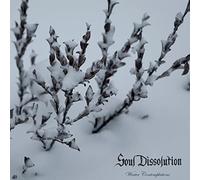 Winter Contemplations [Vinyl]