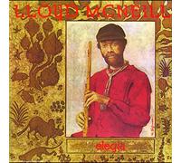 Soul Jazz Records Presents Lloyd Mcneill Elegia