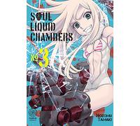 Soul liquid chambers T03