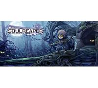 Soul Reaper (Steam Account)