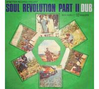 Soul Revolution Part II DUB Picture Disc Vinyle