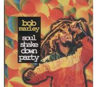 Soul Shake Down Party