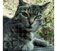 Soul To Burn - Vinyle 33 Tours