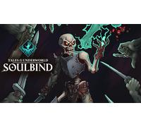 Soulbind Tales Of The Underworld (PS4 Account)