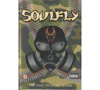Soulfly - The Song Remains Insane