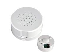 Sound Box - Enregistreur Vocal À Boutons De 60 Secondes | Enregistreur Sonore Pour Animaux En Peluche 45 * 25 Mm | Dispositif D'enregistrement Réutilisable De Jouet, Enregistrement Fait Sur Commande D