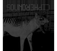 Sound Cipher - All That Syncs Must Diverge