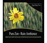 Sound Healing Center - Pure Zen - Rain Ambience