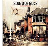 Sound Of Guns – What Came from Fire – CD – Import