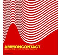 Sounds Like Everything [Import]