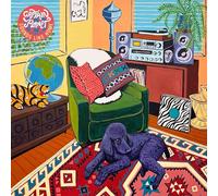 Sounds Like Home - Vinyles