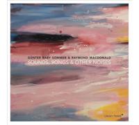 Sounds, Songs & Other Noises