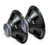 Sounlab Lot de 2 Haut-Parleurs 12" 200W 8Ohm 92Dbv