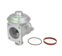 Delphi Vanne EGR EG10433-12B1 sans radiateur