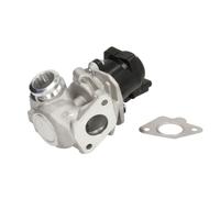 Delphi Vanne EGR EG10507-12B1 sans radiateur 5012759559352