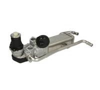 Delphi Vanne EGR EG10589-12B1 avec radiateur EGR