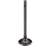 TRW Engine Component 398002 Soupape d'admission