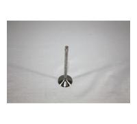 Soupape d'admission AUTOMEGA 130106910