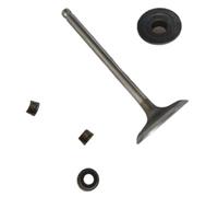 Soupape d'admission compatible avec les références BS 215807, 219807, 21A907, 21B977, 21R707, 21R702, 31A607, 31G777, 21R877, 21R807, 31P677, 31M777 et 791935