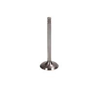 Soupape d'admission FRECCIA R6036/S