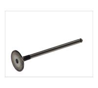 Soupape d'admission FRECCIA R6157/S