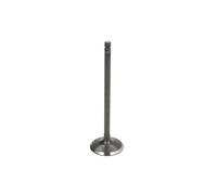 Soupape d'admission FRECCIA R6341/SNT